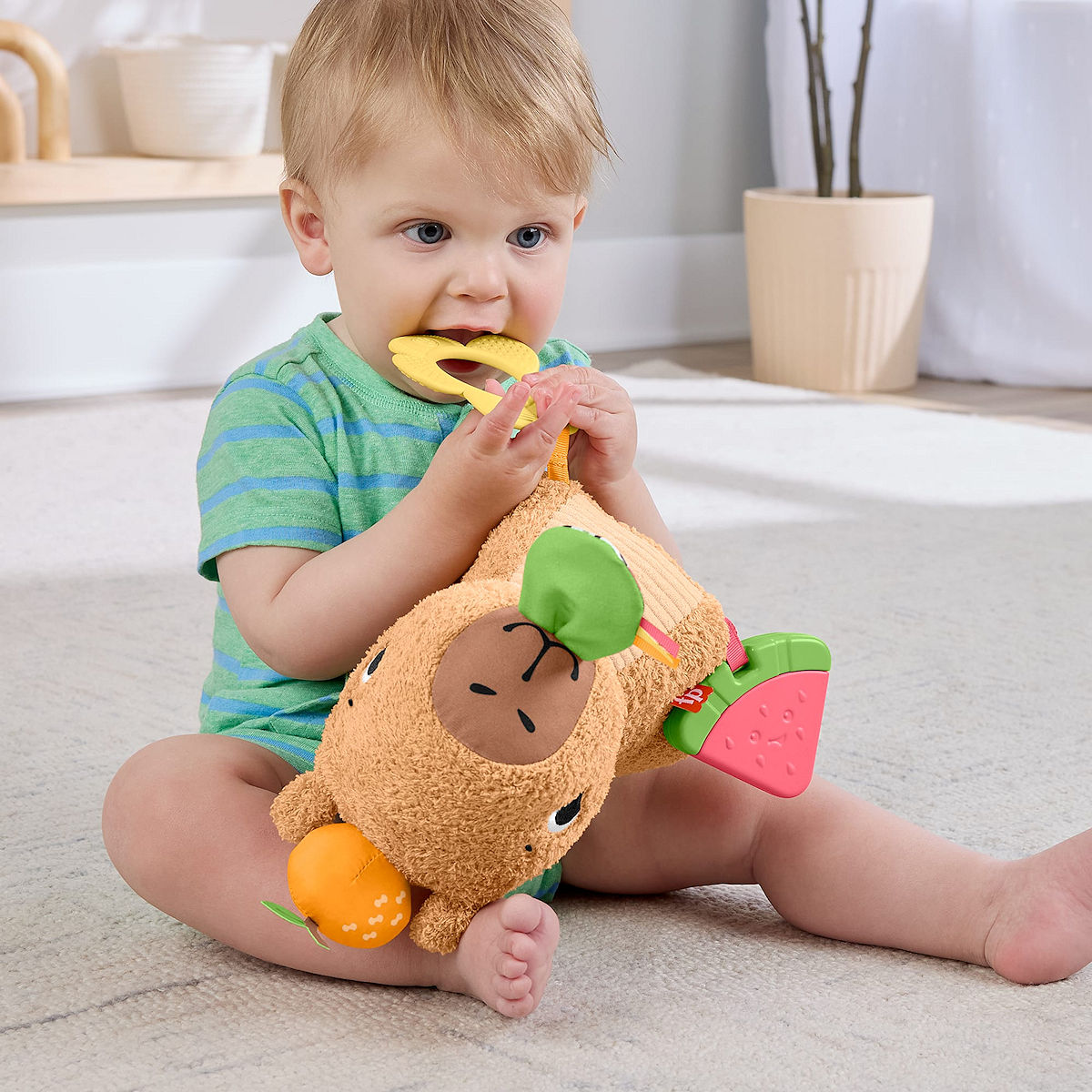 Fisher Price Snackende Capibara Knuffel