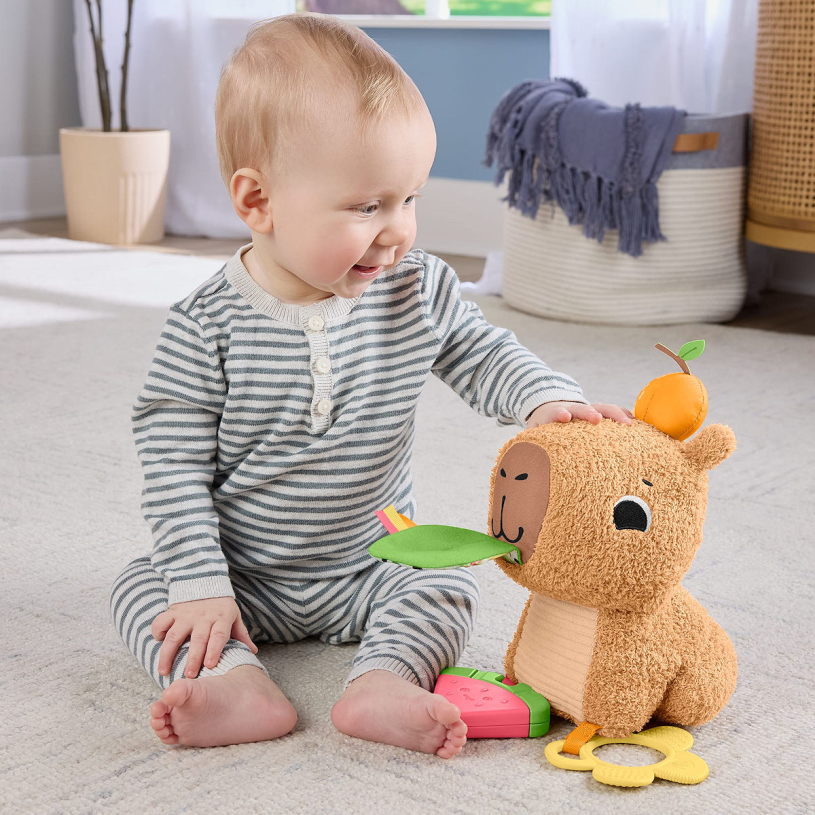 Fisher Price Snackende Capibara Knuffel