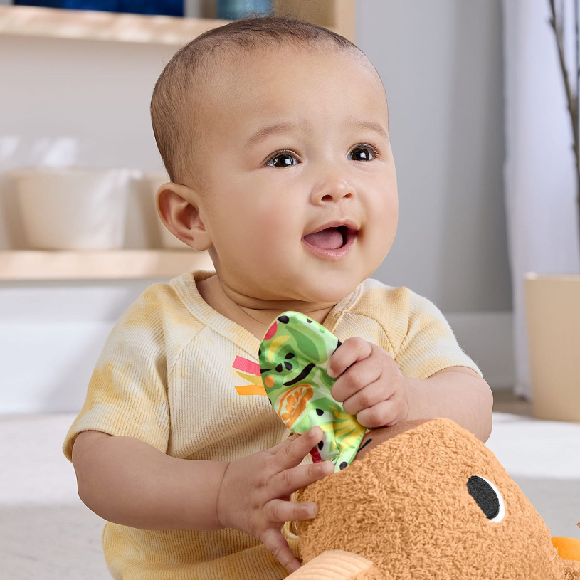 Fisher Price Snackende Capibara Knuffel