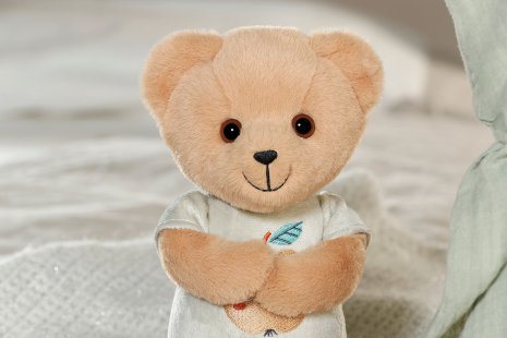 BABY born voor baby's Teddy 26cm