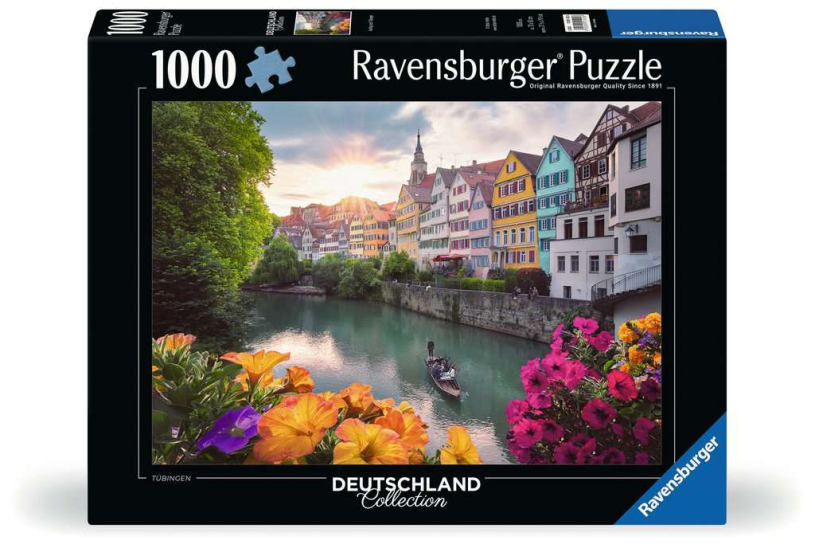 Puzzel 1000 stukjes - Ausflug nach Tübingen