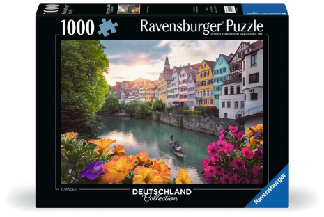 Puzzel 1000 stukjes - Ausflug nach Tübingen