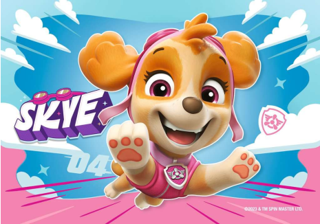 Mijn eerste puzzel Paw Patrol 2+4+6+8 stukjes