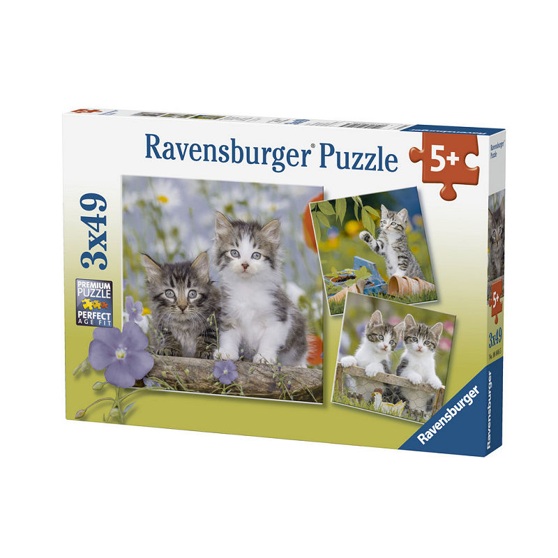 Puzzel 3x49 stukjes Katten