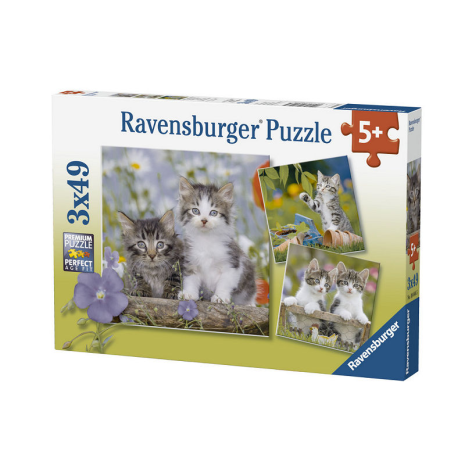 Puzzel 3x49 stukjes Katten