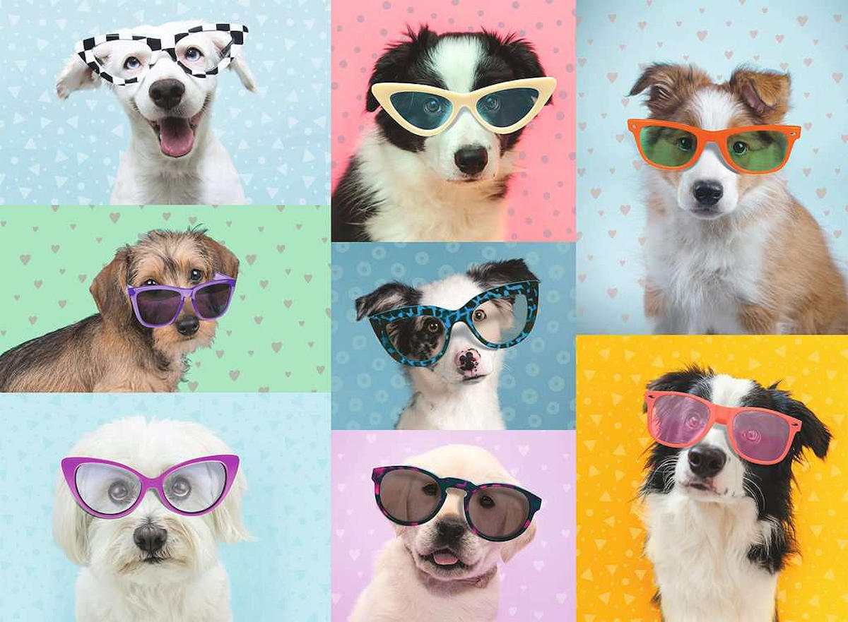 Puzzel 150 stukjes XXL Grappige honden