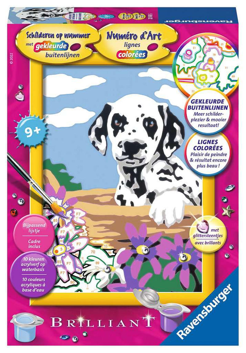 Schilderen op nummer Serie E Dalmatier puppy