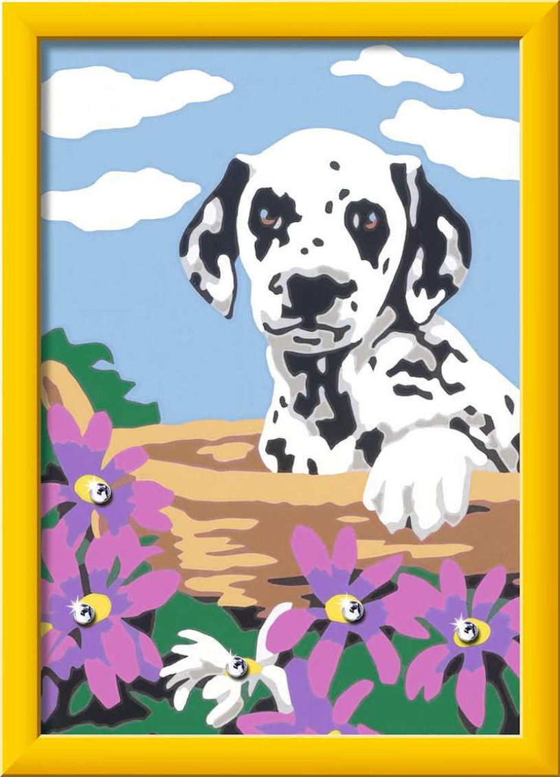 Schilderen op nummer Serie E Dalmatier puppy