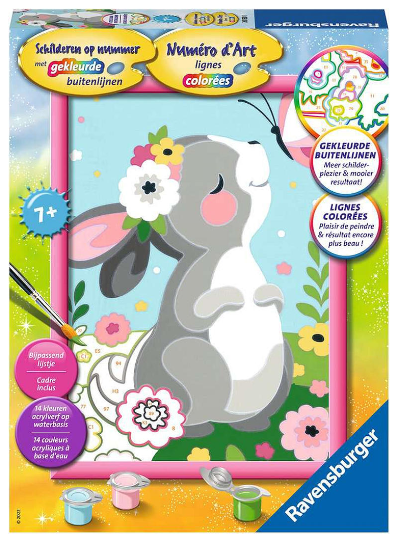 Schilderen op nummer Classic Serie D Konijntje met vlinder