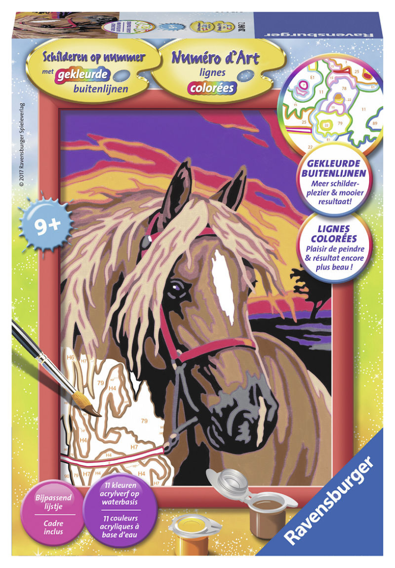 Schilderen op nummer Serie Classic E Droompaard