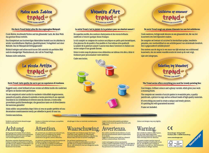 Schilderen op nummer Serie C Trend Bonte Zebra