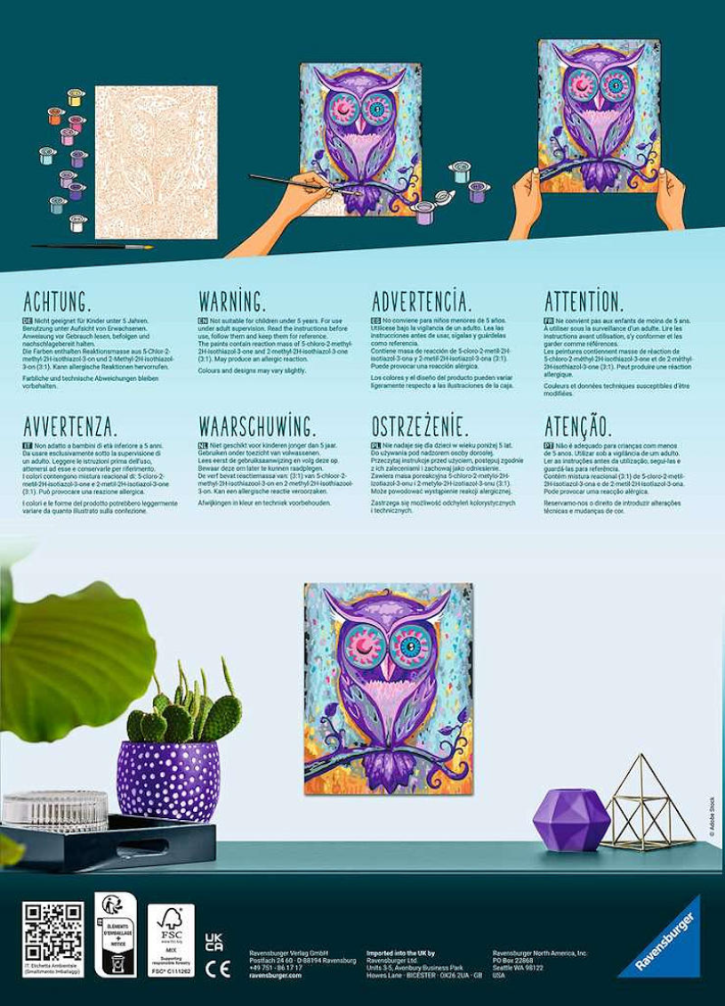 Creart Large - Dreaming owl