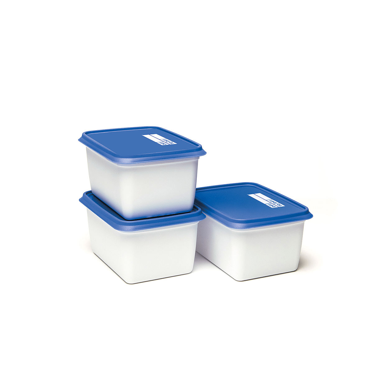 Day to Day Alaska Diepvriesdoos - 3x1000ml