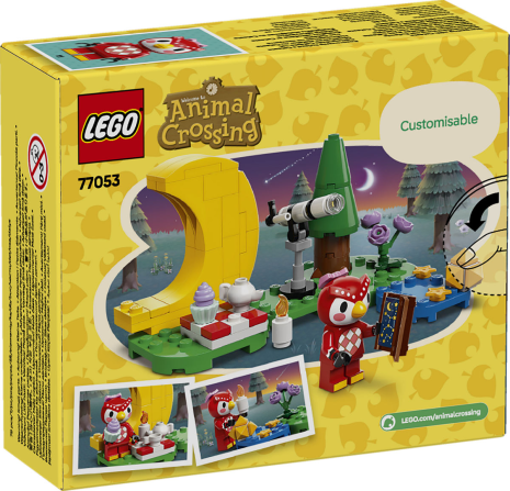 LEGO Animal Crossing Sterrenkijken met Celeste