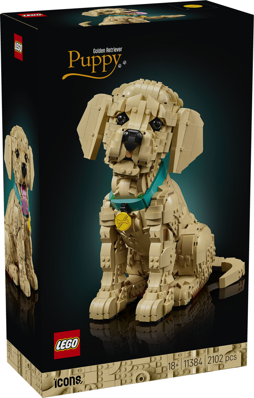 LEGO Icons Golden retriever puppy