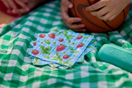 Duni servetten Strawberry Picnic 3-laags 33x33cm