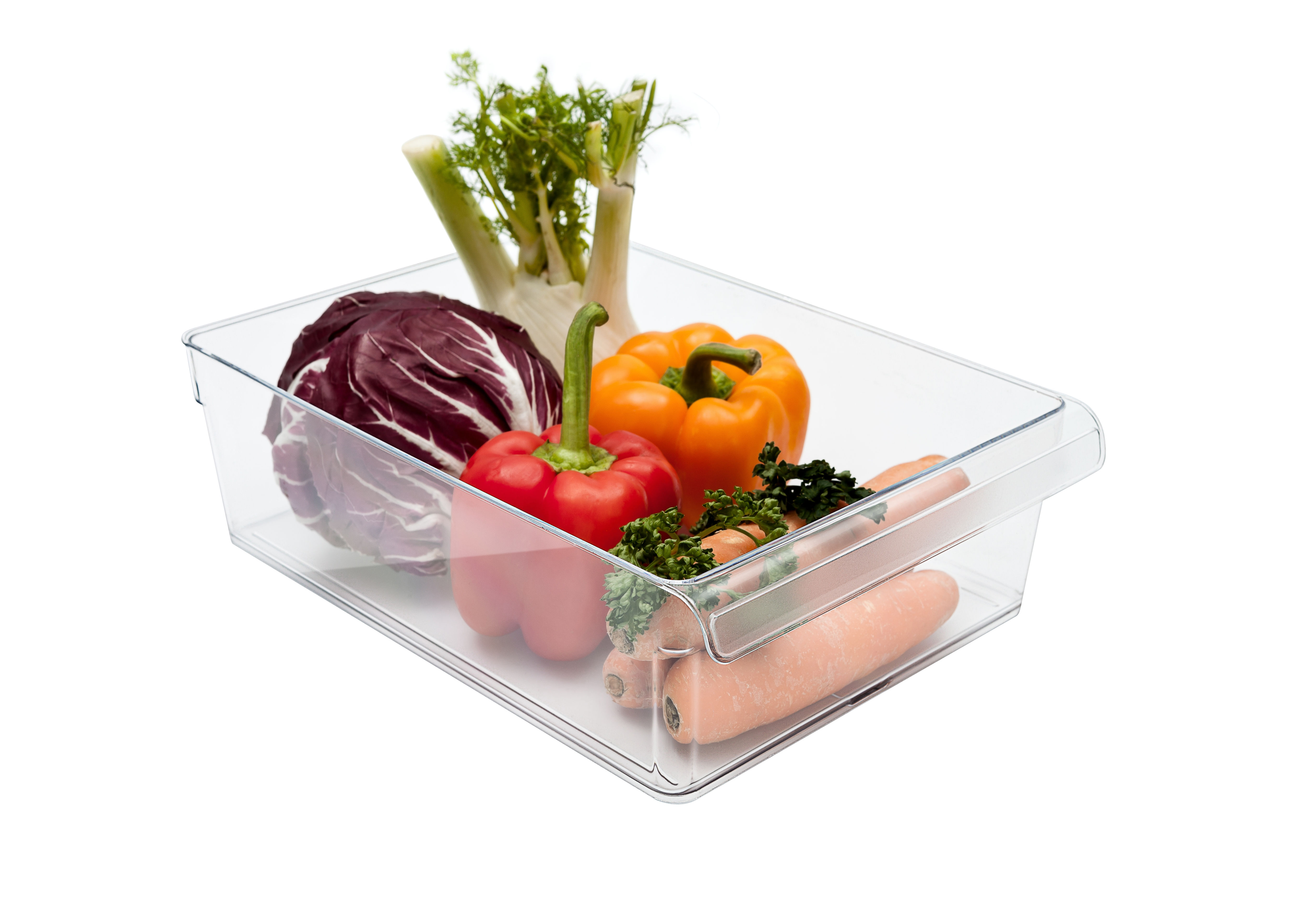 Rotho Koelkast organizer 5L L LOFT transparant