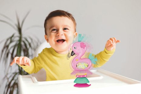 Clementoni Baby Schud en Speel Flamingo