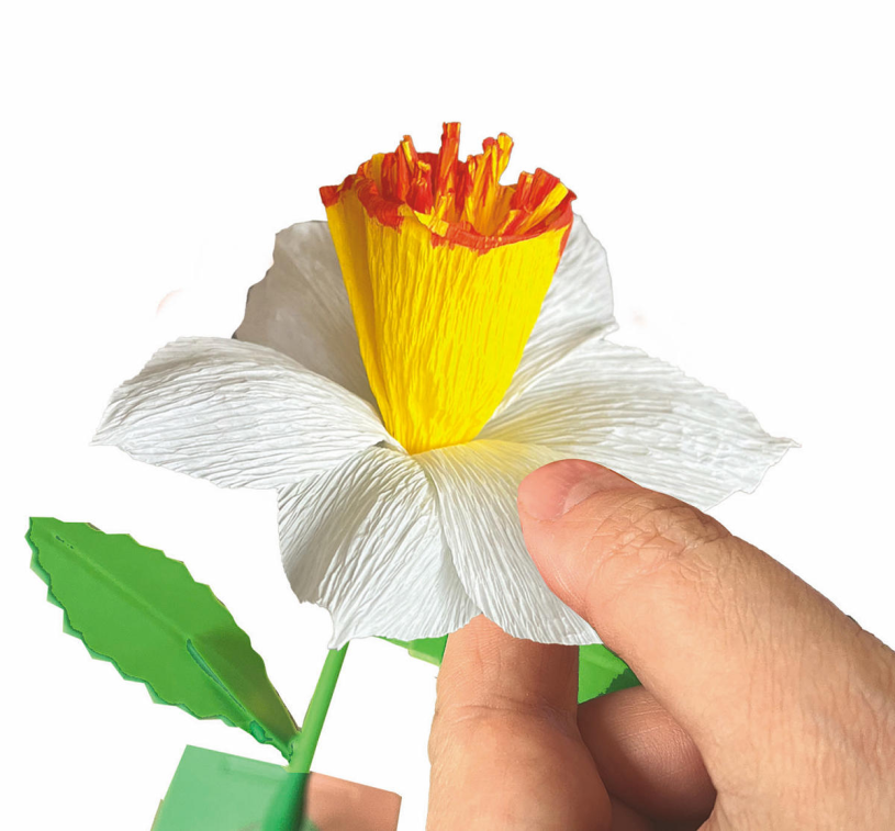 Clementoni Idea Flowers Creator - Narcissen