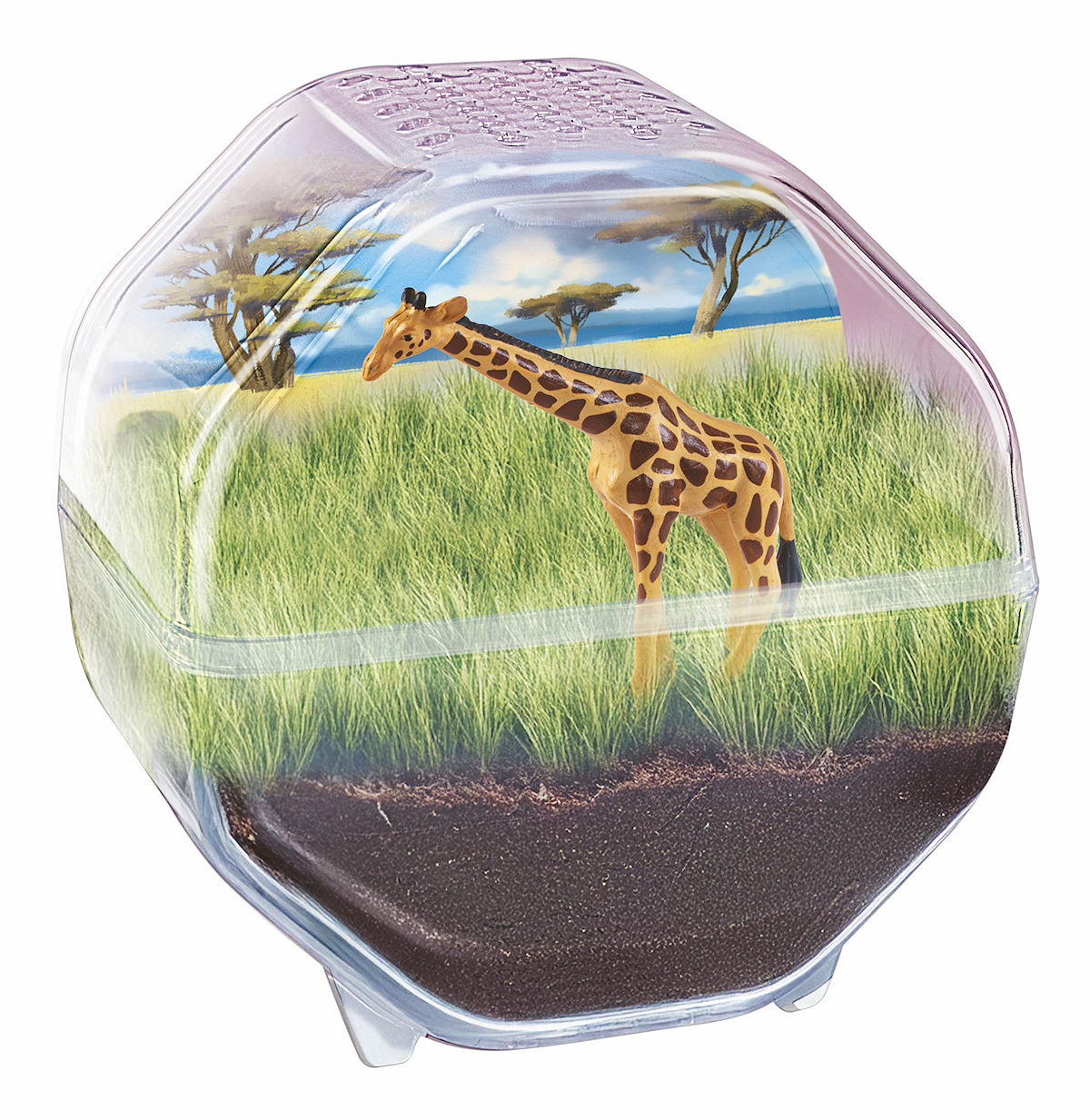 Clementoni Wetenschap en Spel - My Wild Terrarium - Giraffe