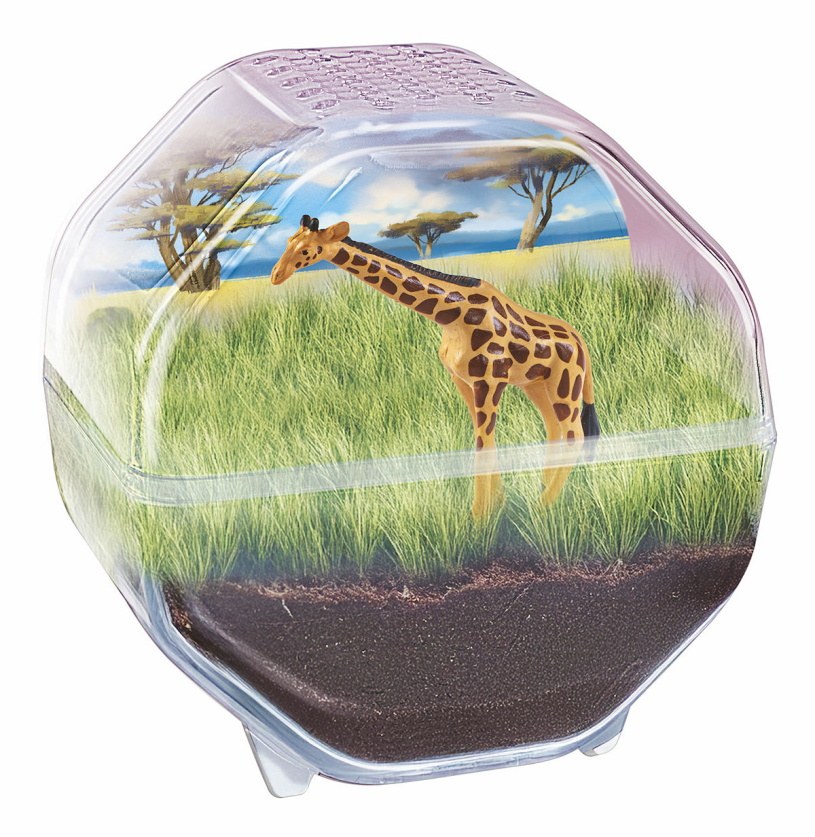Clementoni Wetenschap en Spel - My Wild Terrarium - Giraffe