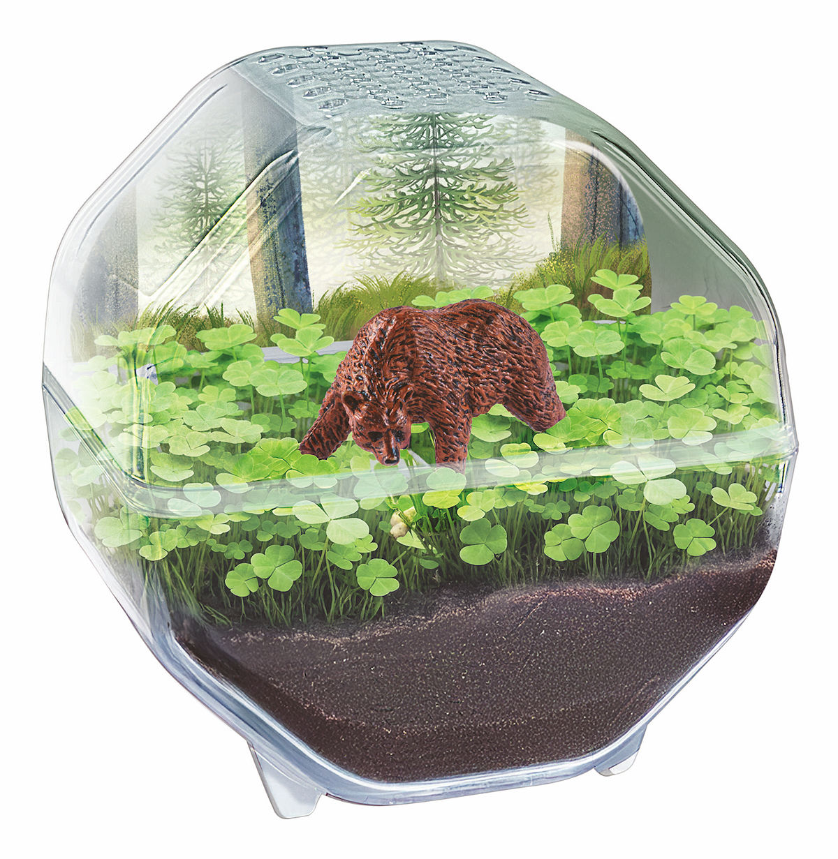 Clementoni Wetenschap en Spel - My Wild Terrarium - Beer