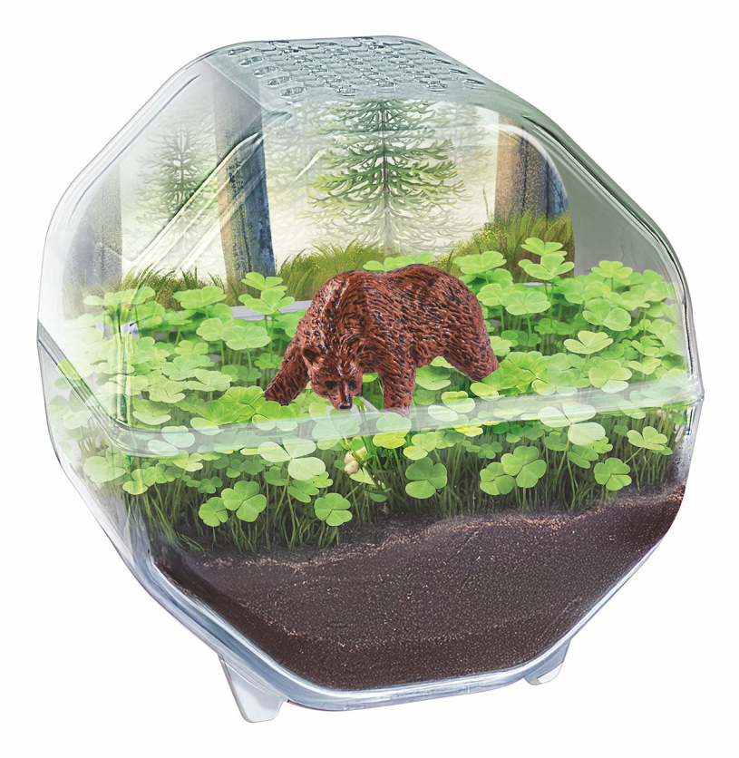Clementoni Wetenschap en Spel - My Wild Terrarium - Beer