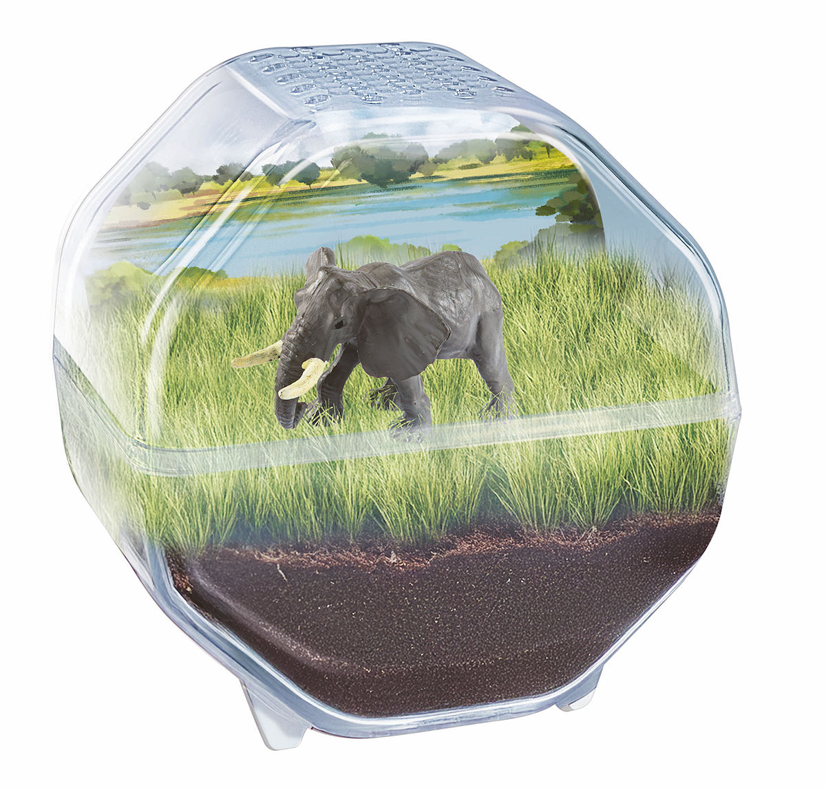Clementoni Wetenschap en Spel - My Wild Terrarium - Olifant