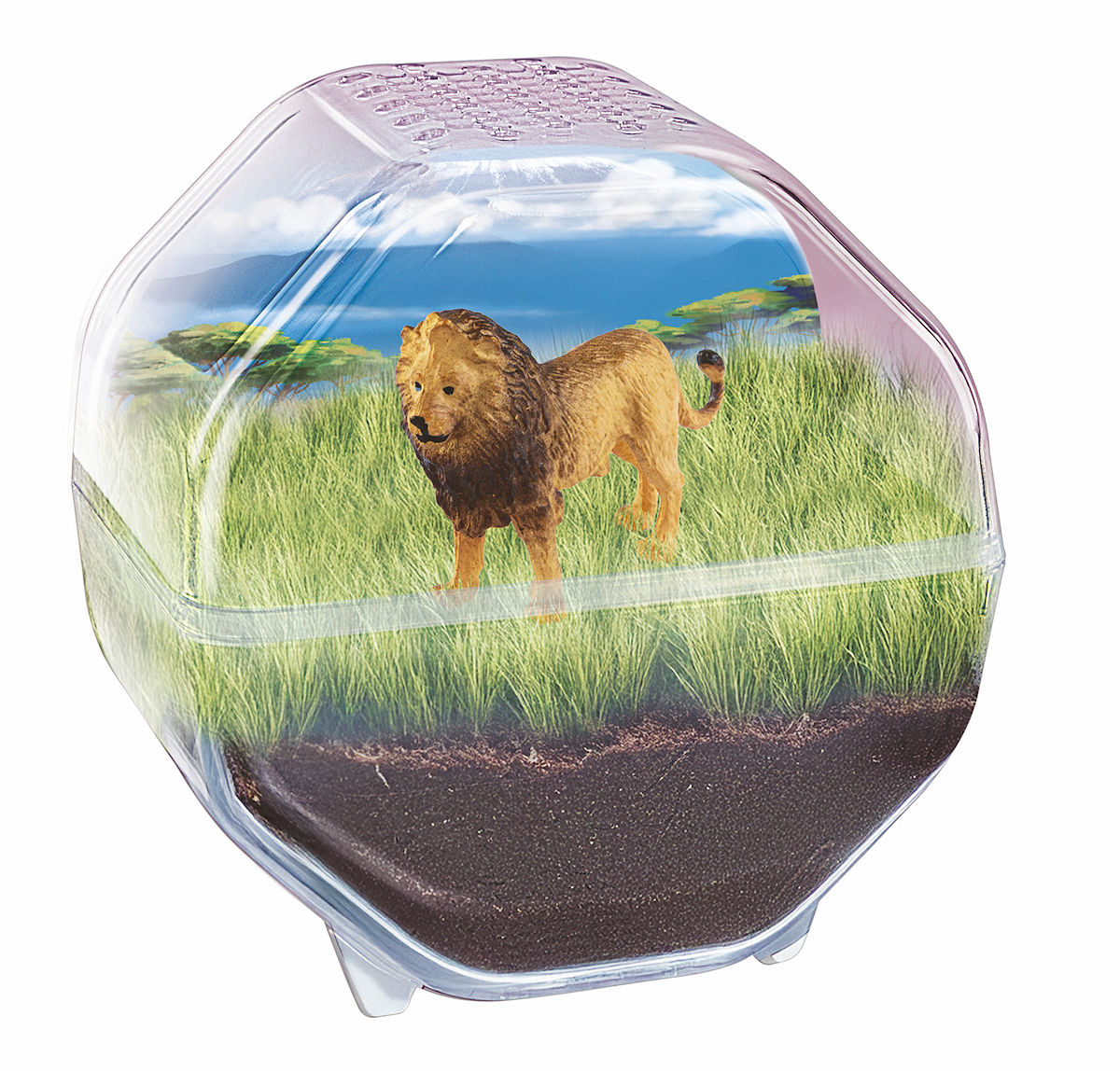 Clementoni Wetenschap en Spel - My Wild Terrarium - Leeuw
