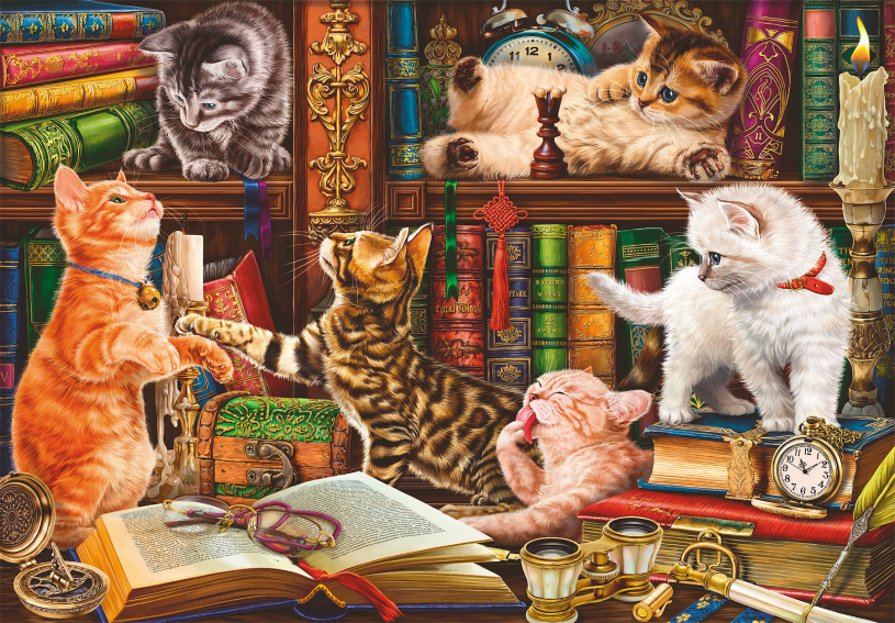 Clementoni Puzzel High Quality 1000 stukjes Curious Whiskers