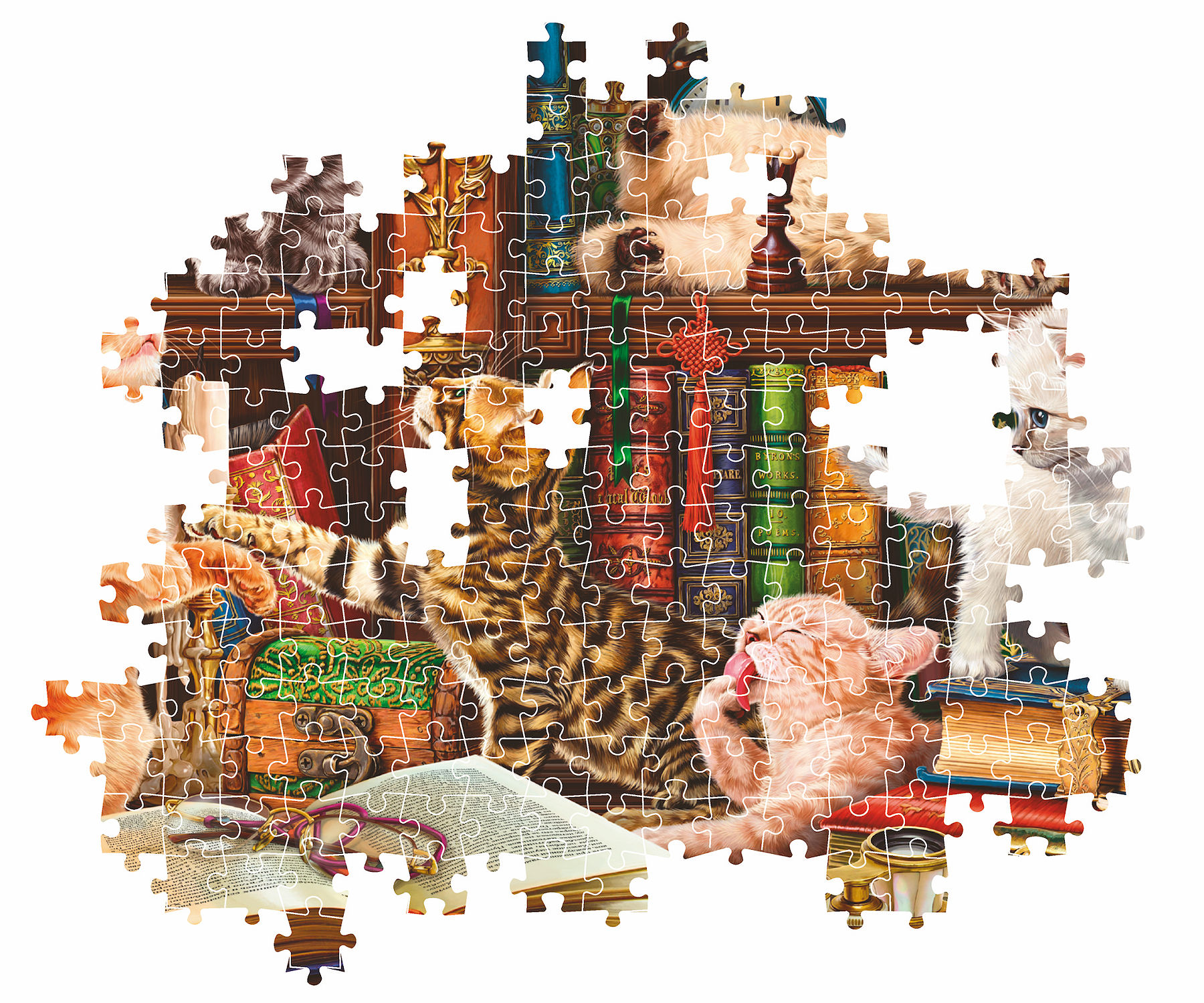 Clementoni Puzzel High Quality 1000 stukjes Curious Whiskers