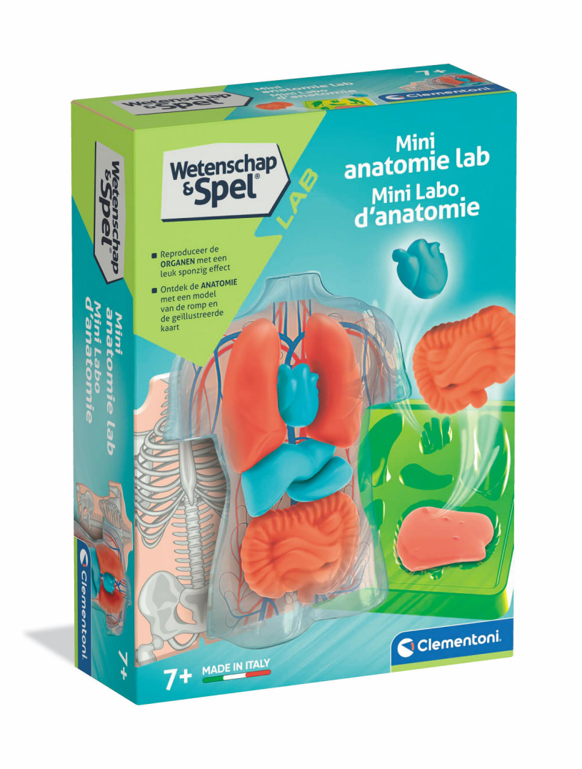 Clementoni Wetenschap en Spel Squishy Anatomie