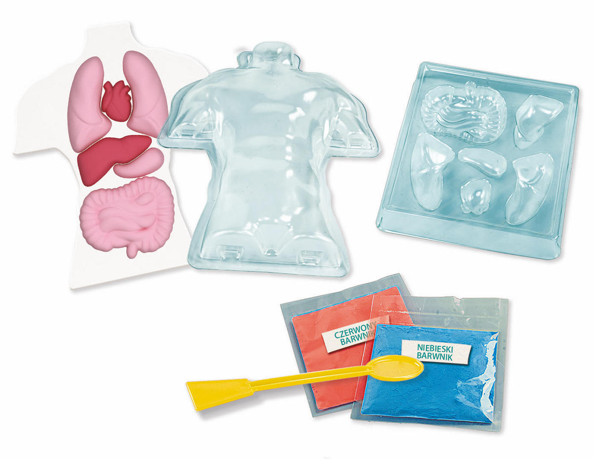 Clementoni Wetenschap en Spel Squishy Anatomie