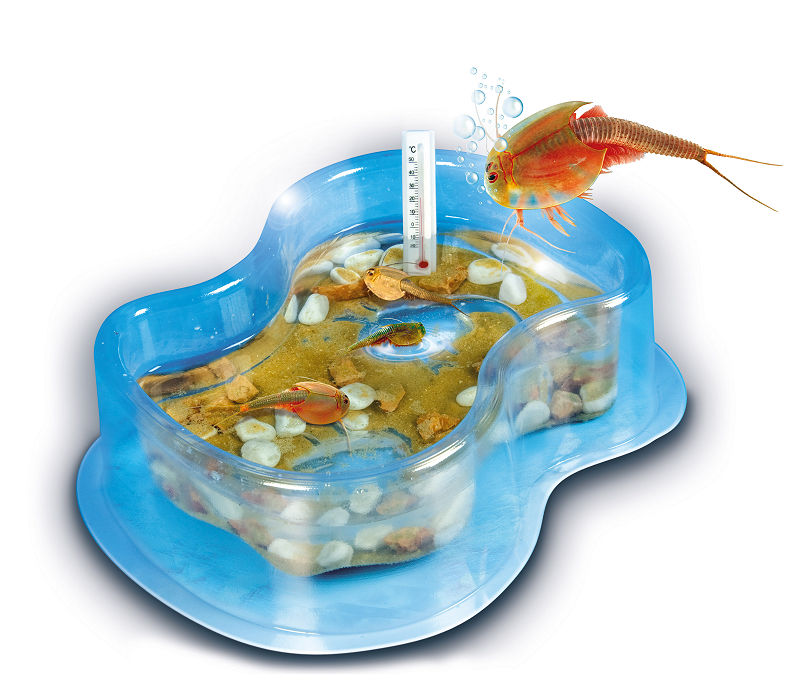 Wetenschap en Spel Kweek je eigen Triops