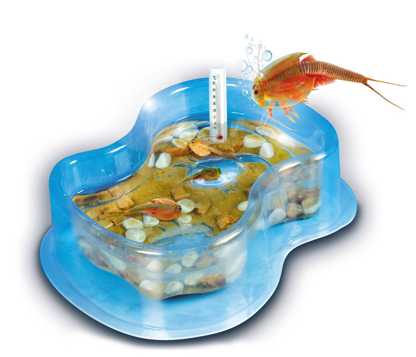 Wetenschap en Spel Kweek je eigen Triops