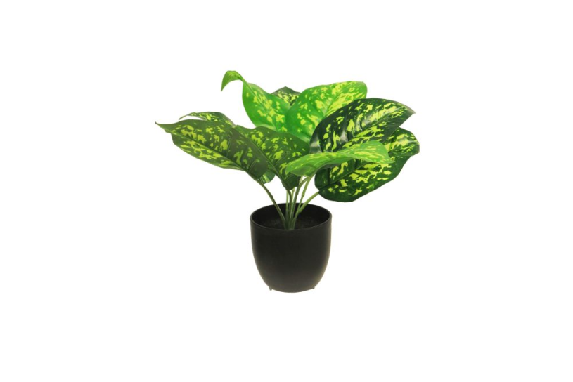 Zijde Dieffenbachia sunshine groen 28cm