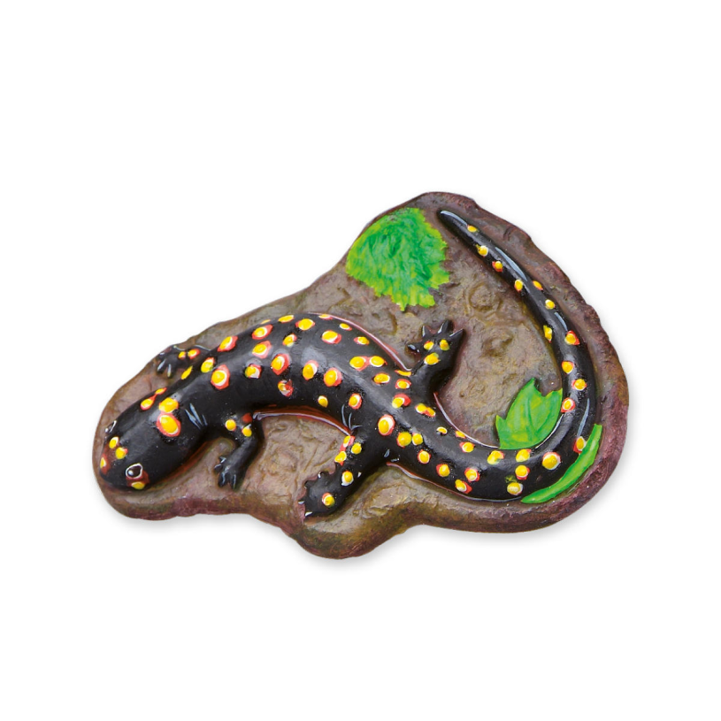 SES Gieten en schilderen - Enge beesten