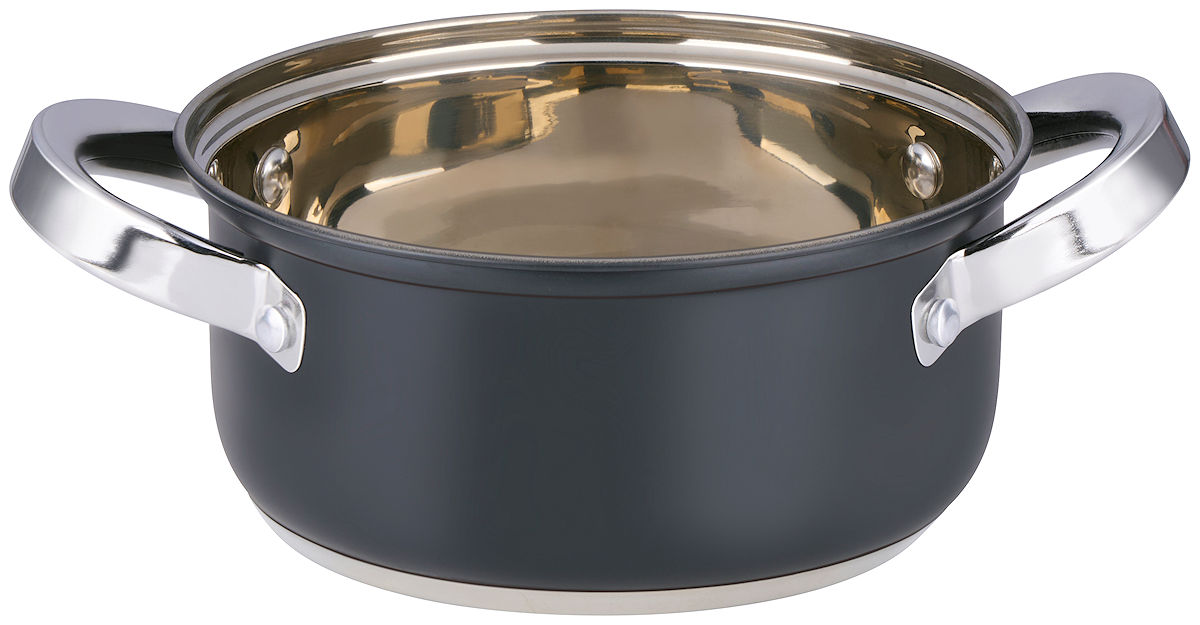 Alpina Kookpan met deksel 1.9L 16cm - inductie
