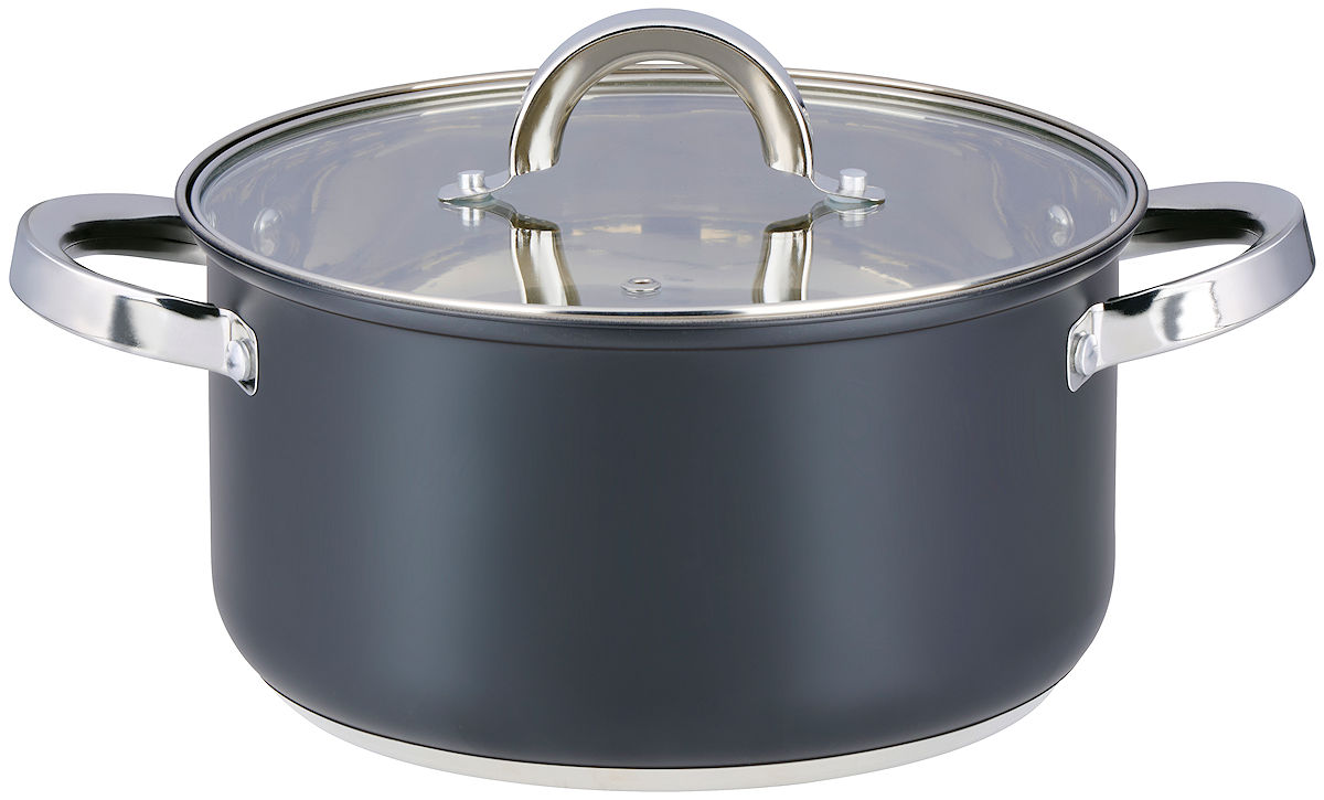 Alpina Kookpan met deksel 22cm 4.7L - inductie