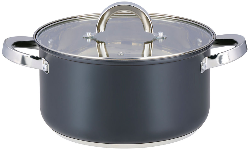 Alpina Kookpan met deksel 22cm 4.7L - inductie