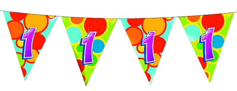 Vlaggenlijn 10 meter 1 jaar