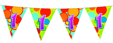 Vlaggenlijn 10 meter 1 jaar