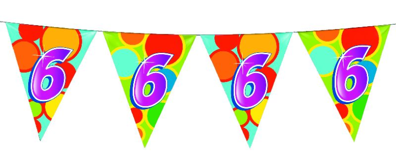 Vlaggenlijn 10 meter 6 jaar