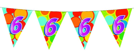 Vlaggenlijn 10 meter 6 jaar