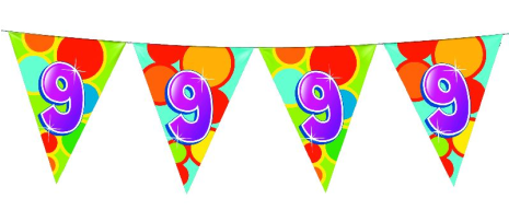 Vlaggenlijn 10 meter 9 jaar