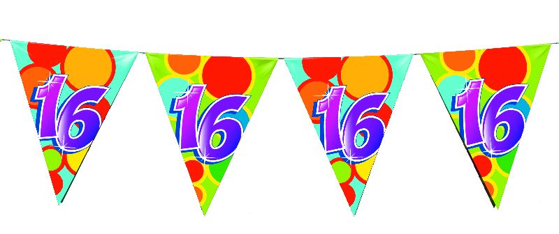 Vlaggenlijn 10 meter 16 jaar