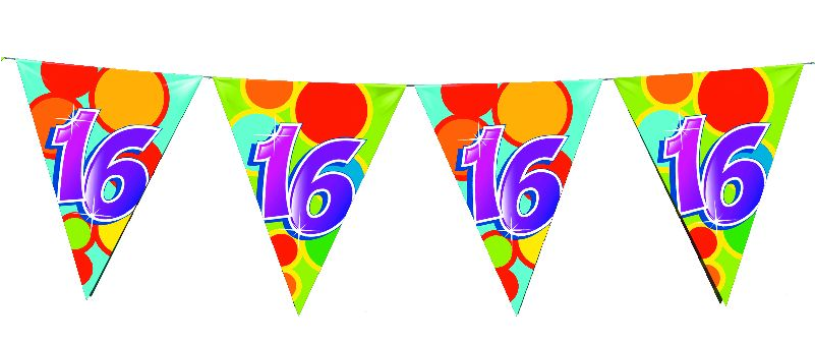 Vlaggenlijn 10 meter 16 jaar