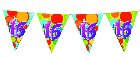 Vlaggenlijn 10 meter 16 jaar