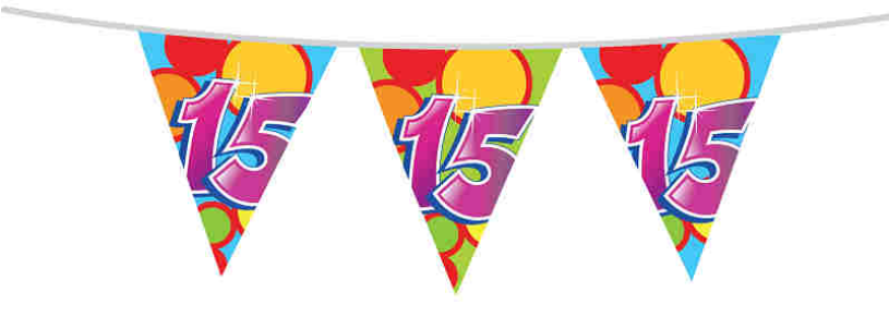 Vlaggenlijn 10 meter 15 jaar