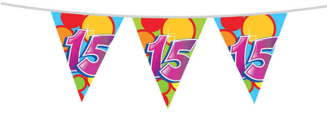 Vlaggenlijn 10 meter 15 jaar